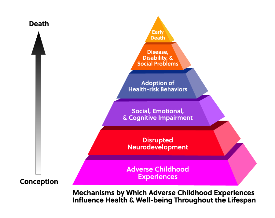 Early Childhood Trauma Can Lead to Early Death - Center for Child ...